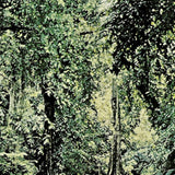 Discalce // Dub Beat By Dawn TAPE