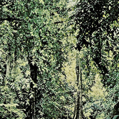 Discalce // Dub Beat By Dawn TAPE