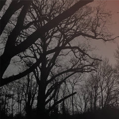 Jordan Christoff // All Black & Echo TAPE
