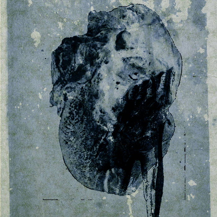 Altar Of Flies / Edward Sol // Split TAPE