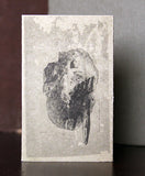 Altar Of Flies / Edward Sol // Split TAPE