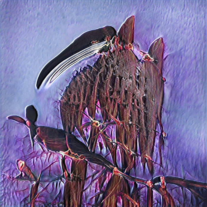 Aysa Thornhill // Ego Death TAPE