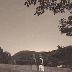 Goldmund // The Malady of Elegance LP