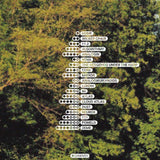 Elli Form // Home 2x12"