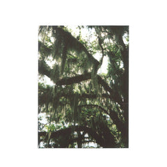 Quiet Evenings // Environs TAPE