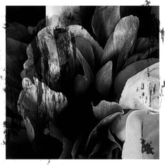 Roseen vs Dinamite // Episode II 12"
