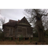 Grant Evans // Ergot Dogs TAPE