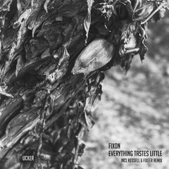 Fixon // Everything Tastes Little 12"