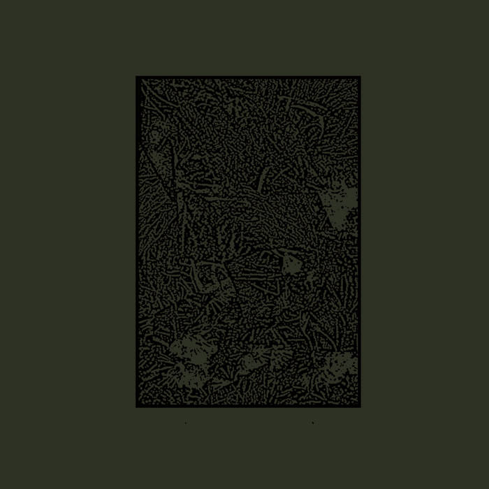 Evenings // Wormwood CD