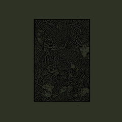 Evenings // Wormwood CD