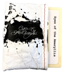 Eyes of the Amaryllis // ST TAPE