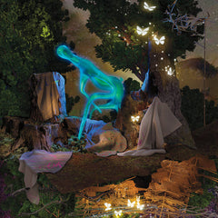Galen Tipton // Fake Meat LP