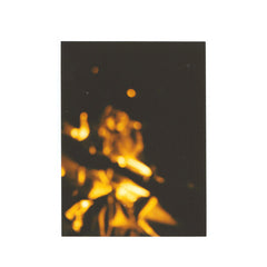 Quiet Evenings // Fault TAPE