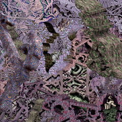 False Sir Nicholas // Myriad Tongues LP
