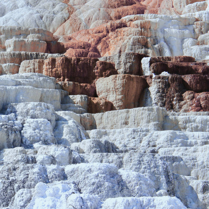 Aqeel Aadam + Fossilize Me // Fault 7"