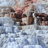 Aqeel Aadam + Fossilize Me // Fault 7"