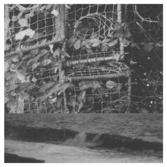 Cremation Lily // The Processes and Instruments of Normal People; Trying and Failing, Falling and Water Running LP