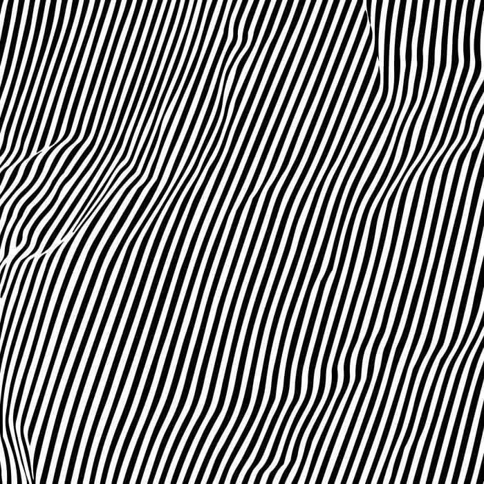 Animal Hospital // Fatigue LP