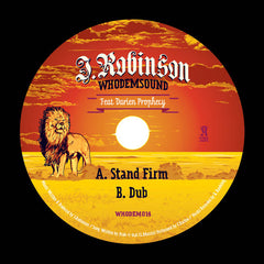 J.Robinson WhoDemSound Feat. Darien Prophecy 10inch