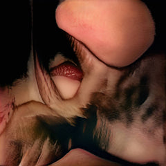 Maryam Sirvan // Feast On My Body CD