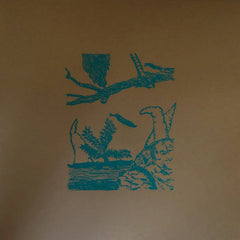 Small Cruel Party // È Vago Fior Del Tempo LP