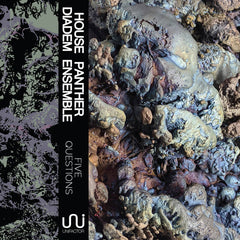 House Panther Diadem Ensemble // Five Questions TAPE