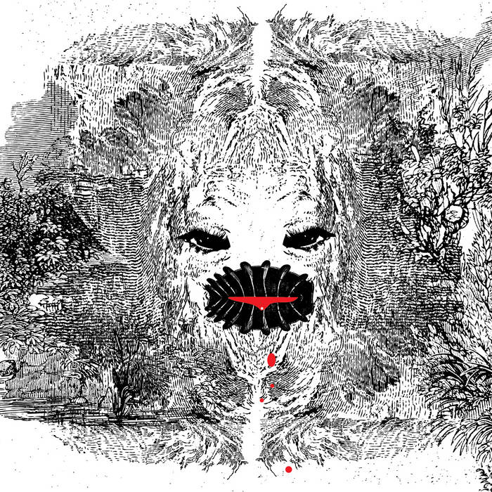 Adderall Canyonly //  Influenza 10 TAPE