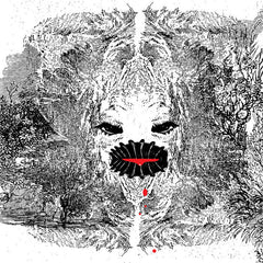 Adderall Canyonly // Influenza 10 TAPE