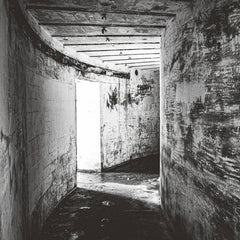 Daniel Menche // Forlorn TAPE