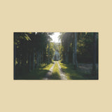 Adam Matschulat // Formosa LP