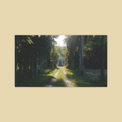 Adam Matschulat // Formosa LP