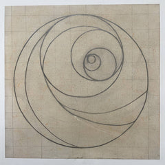 Bryn Harrison // A Coiled Form CD