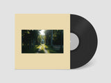 Adam Matschulat // Formosa LP