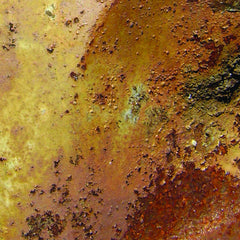 Pedestrian Deposit // East Fork / North Fork CD