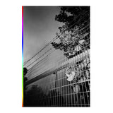 Mickael Halley // Full Circle TAPE