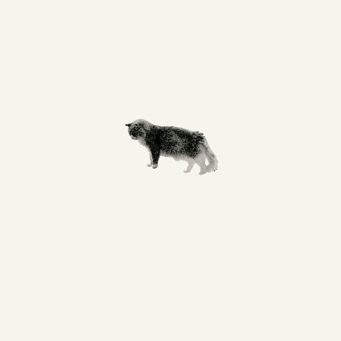 Teahouse Radio // Her Quiet Garden 2xLP