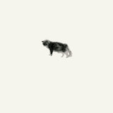 Teahouse Radio // Her Quiet Garden 2xLP