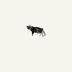 Teahouse Radio // Her Quiet Garden 2xLP