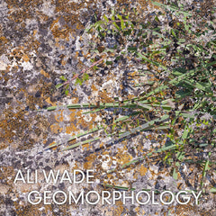 Ali Wade // Geomorphology TAPE