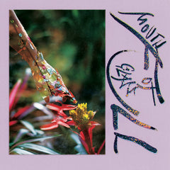 Macie Stewart // Mouth Full of Glass LP