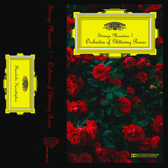 Strange Mountain II // Orchestra of Glittering Roses TAPE