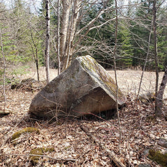 Glacial Erratics // Gneiss Schist TAPE