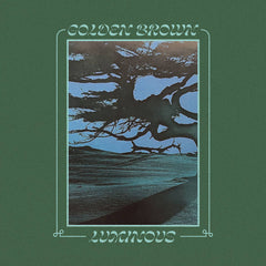 Golden Brown // Luminous TAPE