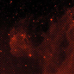 Guavid // Orion 12"