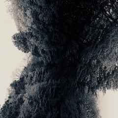 Nebel lang // Hand in mine CDR
