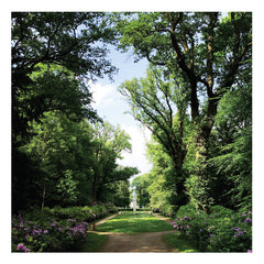 Coen Oscar Polack // Haarlemmerhout LP