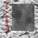 Halo & Scarlet Diva // s/t TAPE