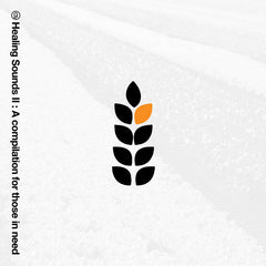 VA // Healing Sounds II: A Compilation For Those In Need 4 CD BOX