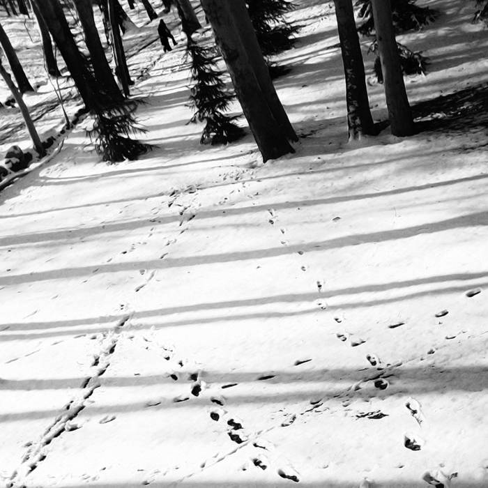 tarxun and Siavash Hakim // Hiraeth CD