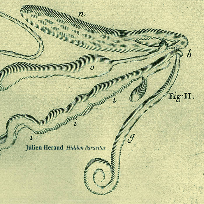 Julien Heraud // Hidden Parasites CD
